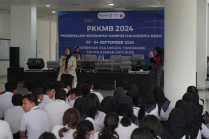 UNIVERSITAS ESA UNGGUL 3